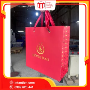Tui giay 12 01
