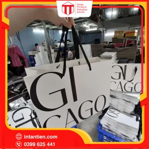 Tui giay 21 01