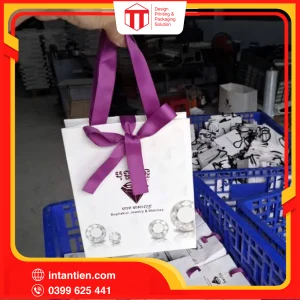 Tui giay 3 01 2
