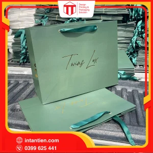 Tui giay 34 01