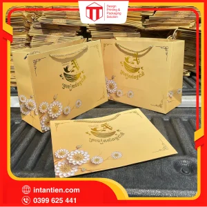 Tui giay 41 01