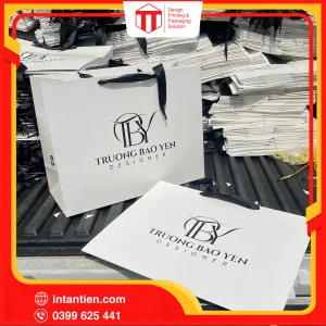Tui giay 42 01