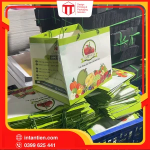 Tui giay 46 01