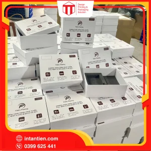 hop cung 11 01